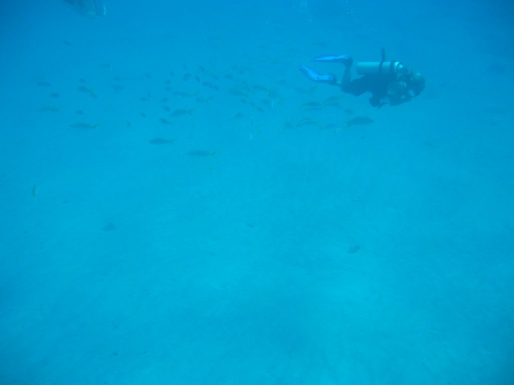 img_3300.jpg
