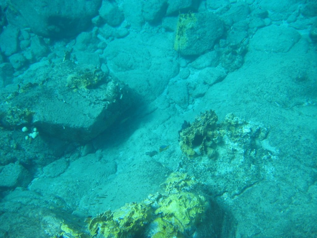 img_3305.jpg