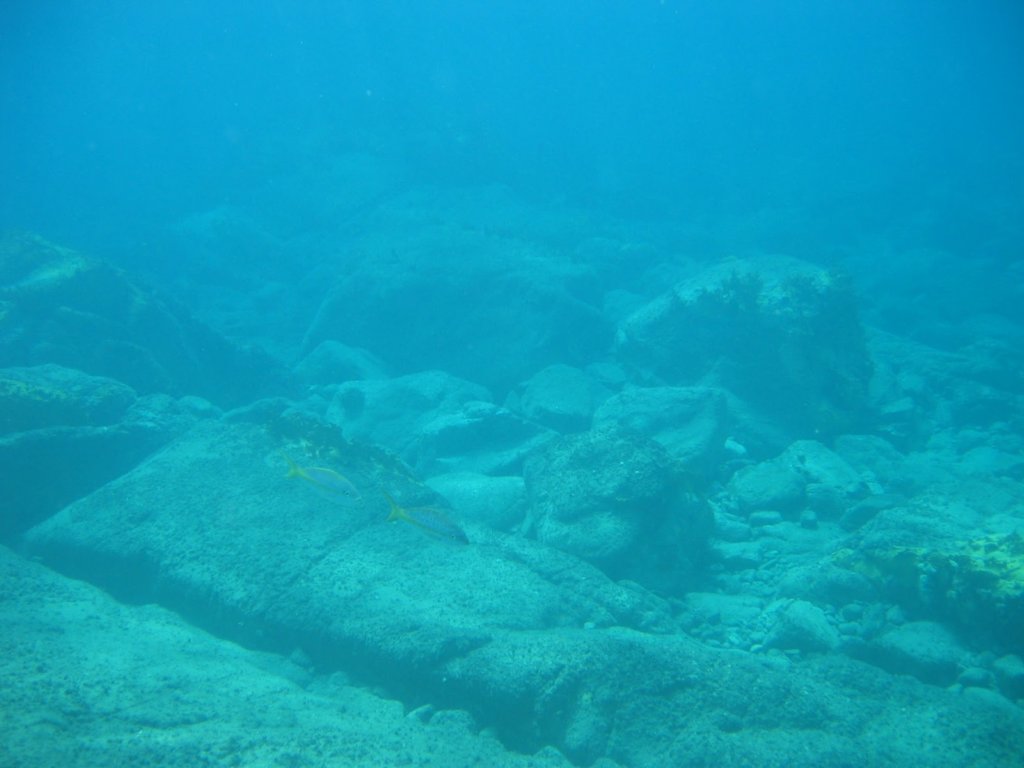 img_3308.jpg