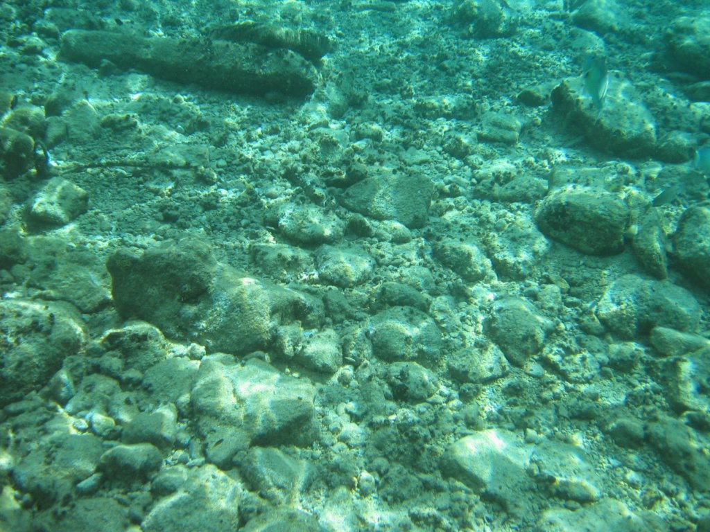 snorkling13.jpg