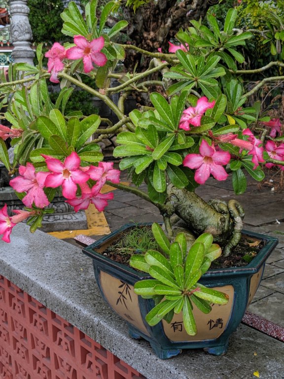 img_20191015_111848.jpg
