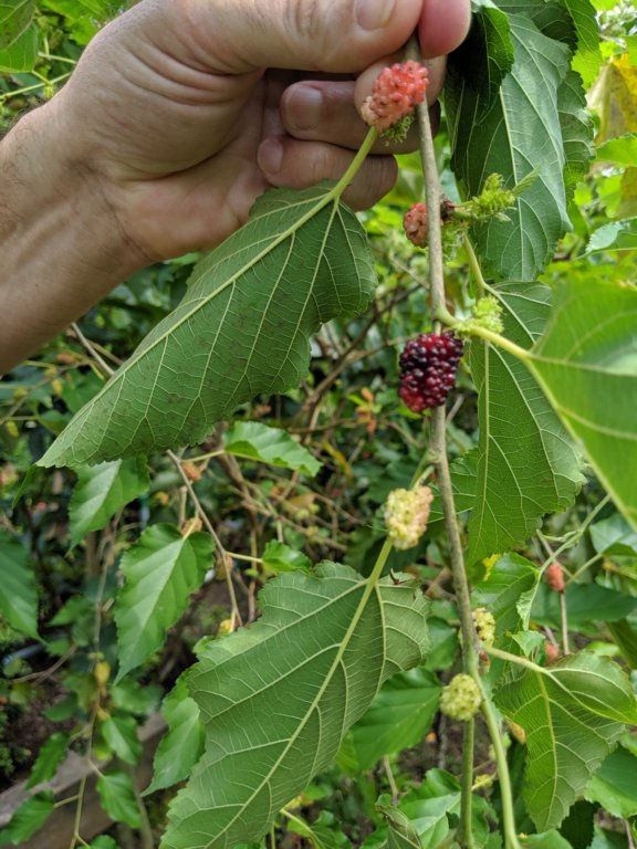 img_20191018_112844.jpg