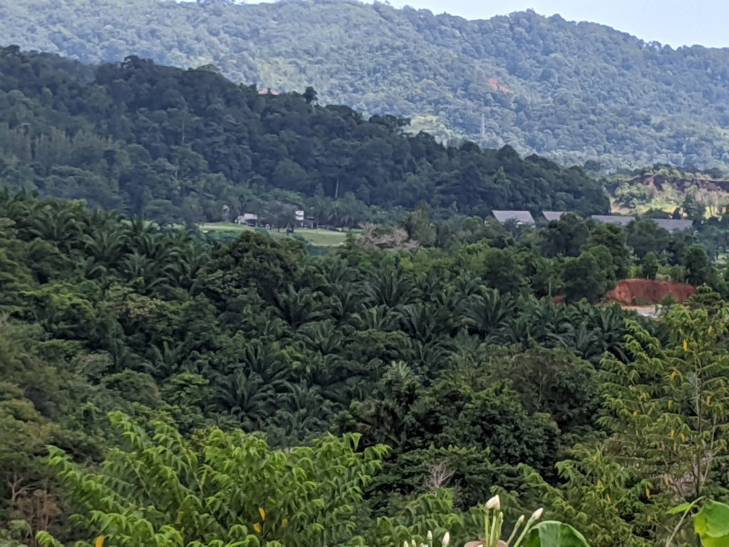 img_20191025_123710.jpg