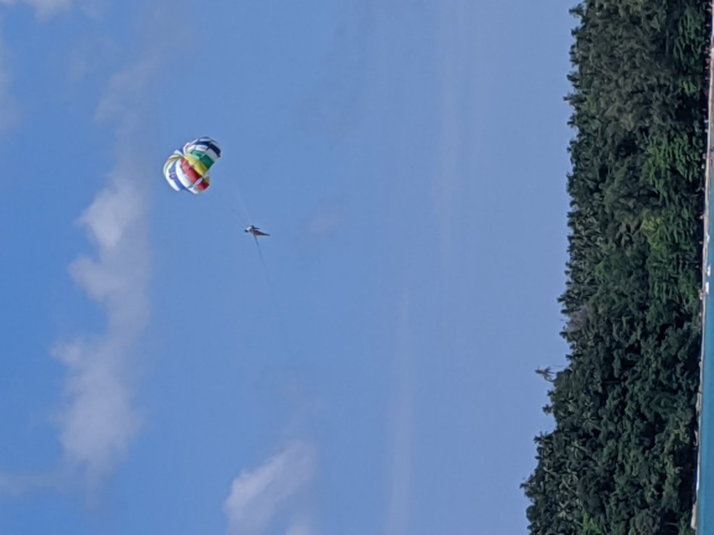 img_20191029_114804.jpg