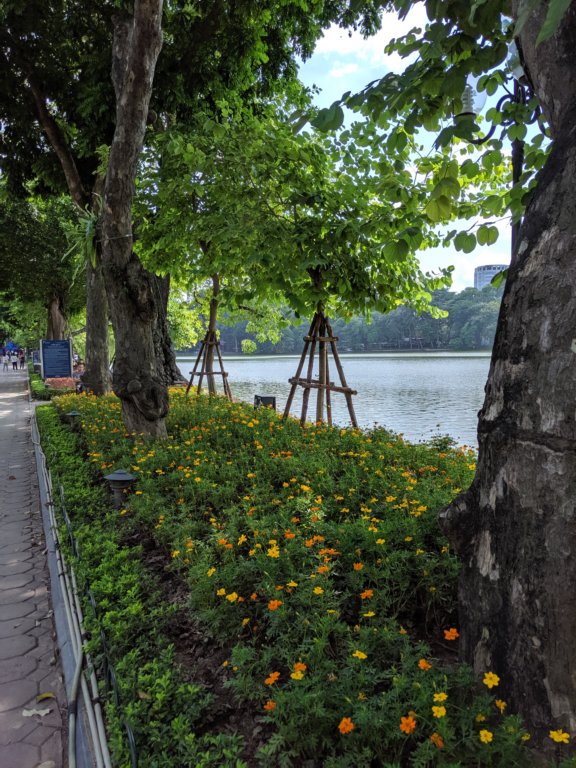mvimg_20191011_133023.jpg
