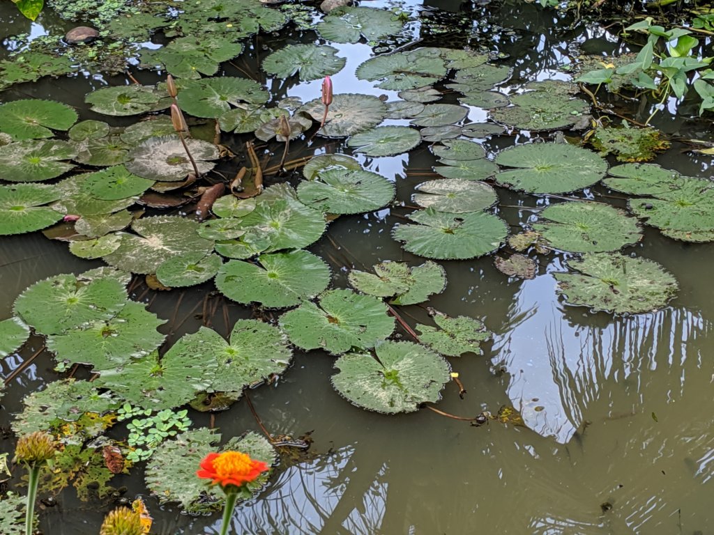 mvimg_20191018_113009.jpg