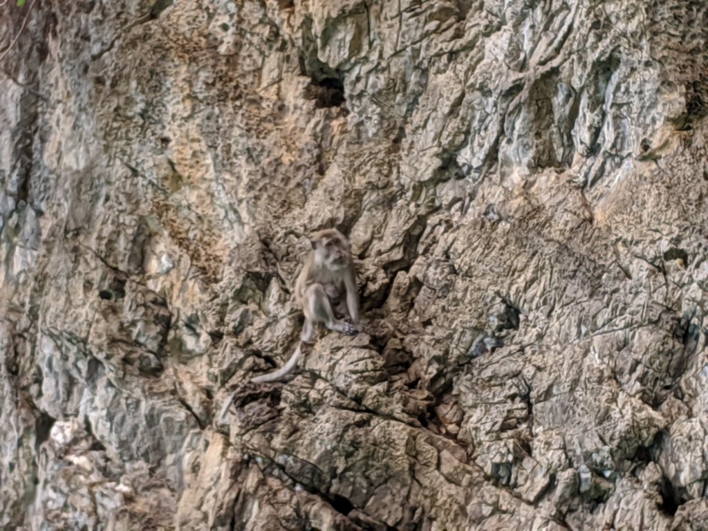 mvimg_20191027_113341.jpg