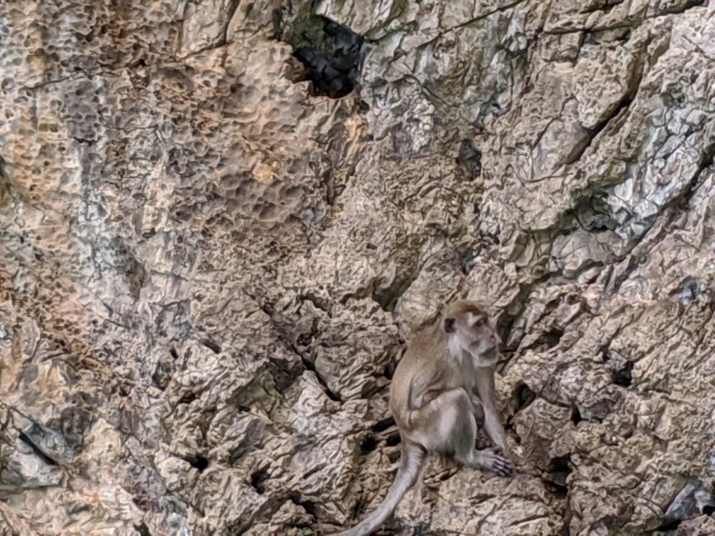 mvimg_20191027_113453.jpg