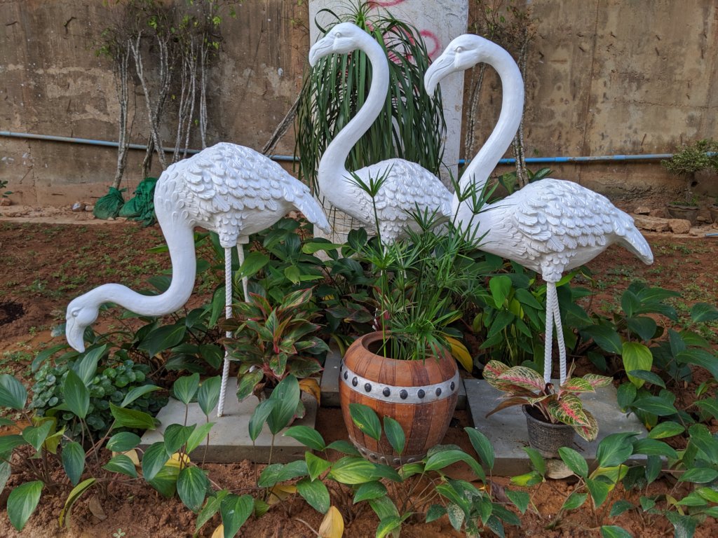 mvimg_20191028_080741.jpg