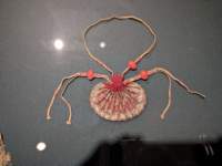 pxl_20260612_035721825_small.jpg