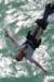 bungee8_small.jpg
