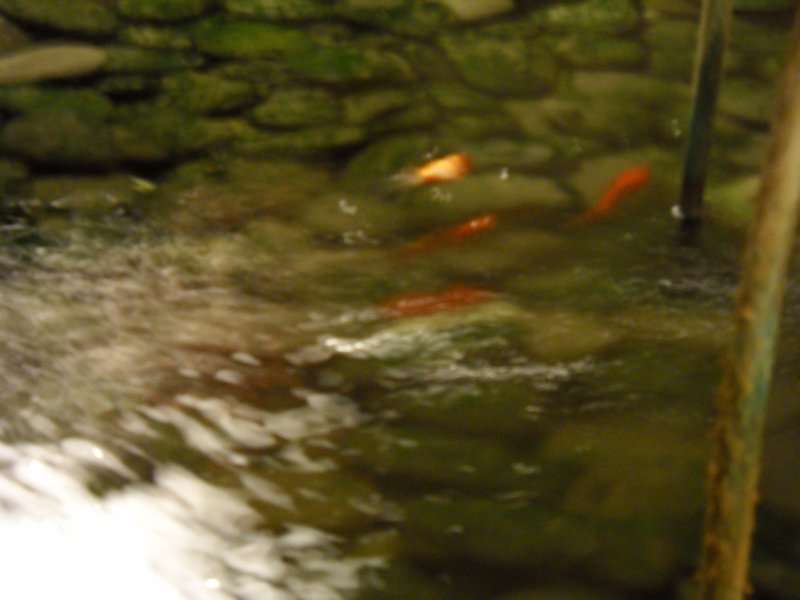 dscn3083.jpg