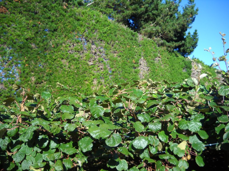 dscn3092.jpg