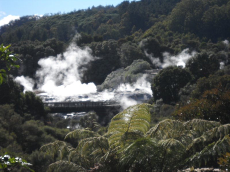 dscn3111.jpg