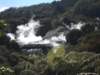 dscn3111_small.jpg