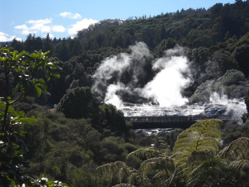 dscn3113.jpg