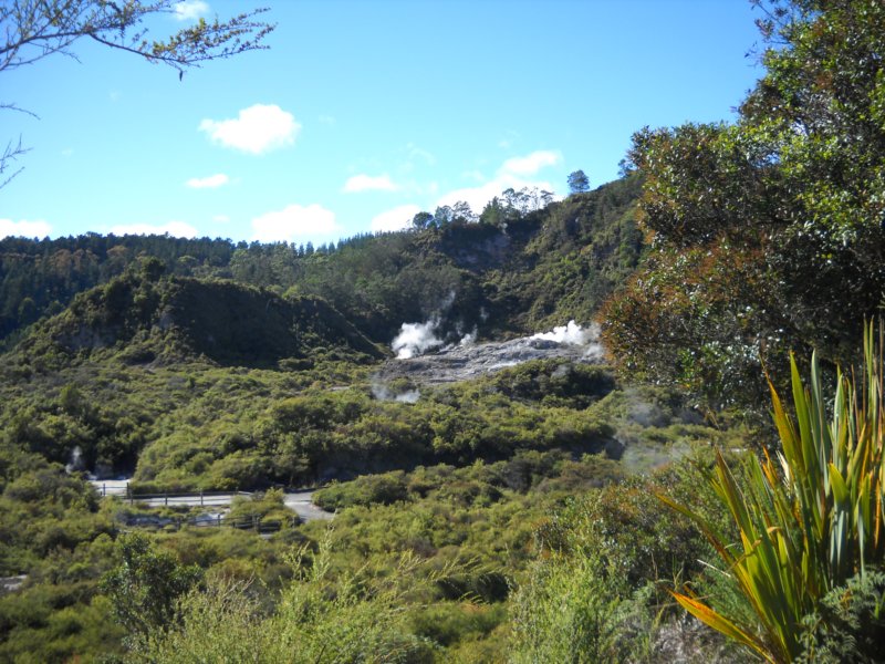 dscn3119.jpg