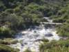 dscn3120_small.jpg