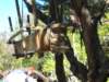 dscn3123_small.jpg