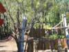 dscn3124_small.jpg