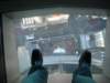 skytower3_small.jpg