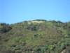 waiheke2_small.jpg