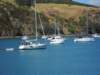 waiheke3_small.jpg