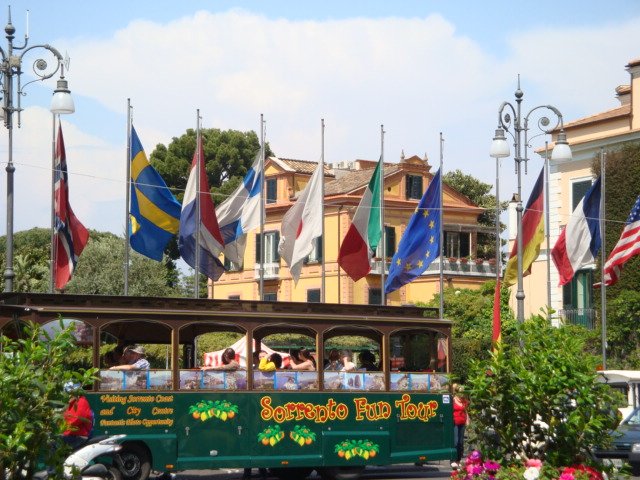 dsc00710.jpg