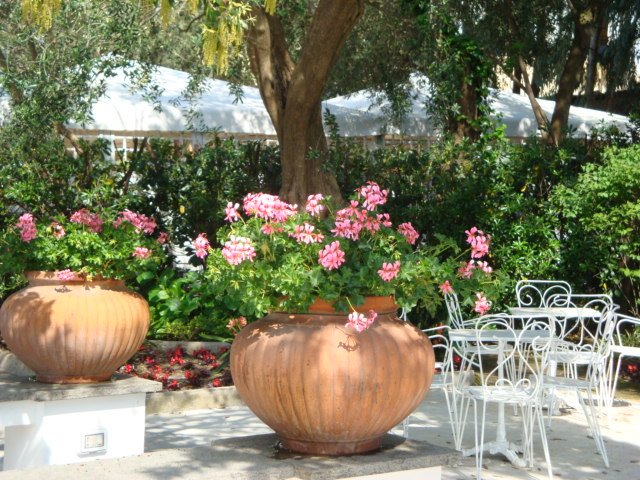 dsc00717.jpg