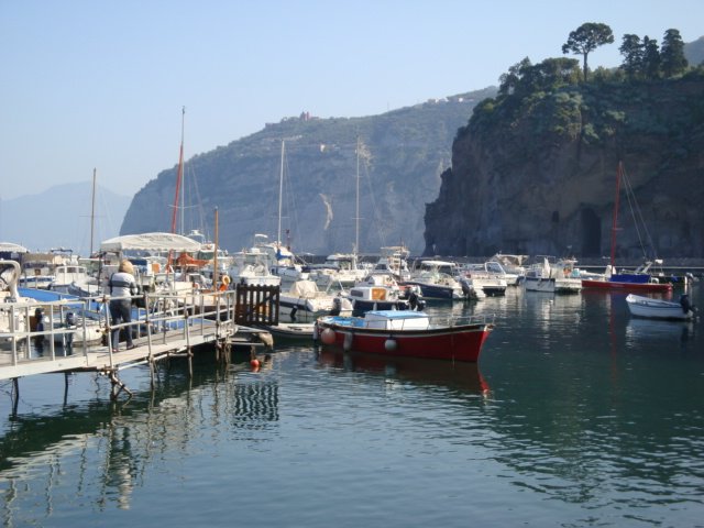 dsc00739.jpg