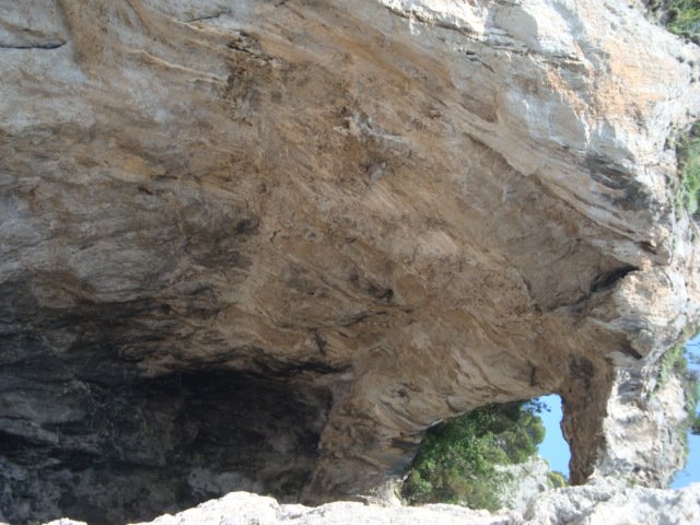 dsc00752.jpg