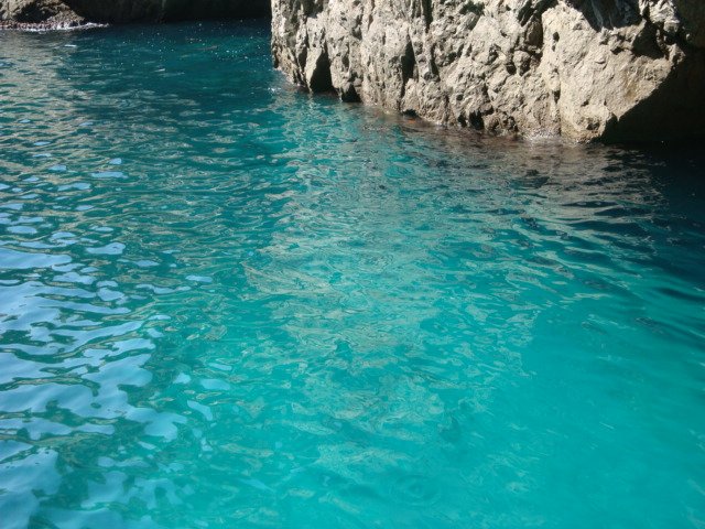 dsc00770.jpg