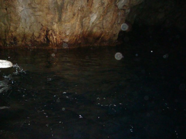 dsc00781.jpg