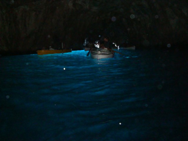 dsc00782.jpg