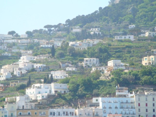 dsc00795.jpg