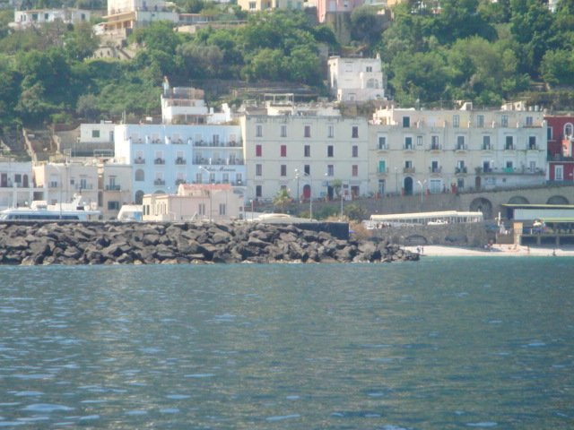 dsc00796.jpg