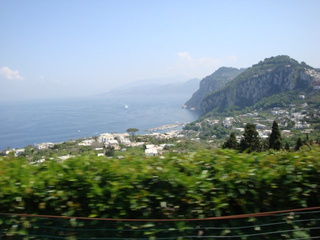 dsc00802.jpg