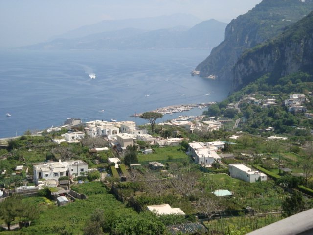 dsc00804.jpg