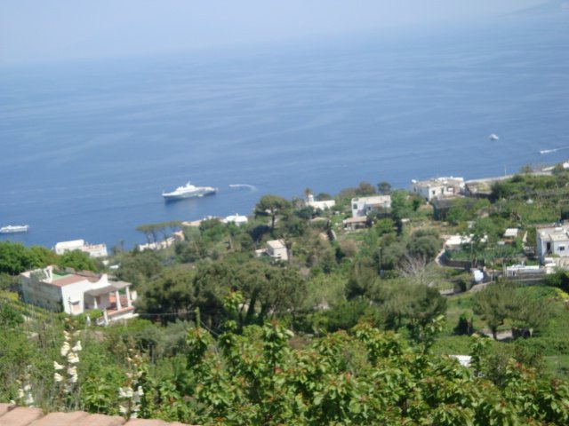 dsc00806.jpg