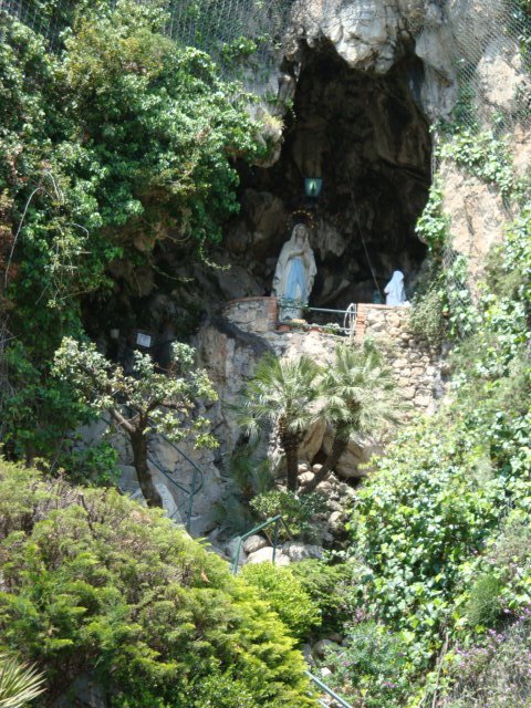 dsc00815.jpg