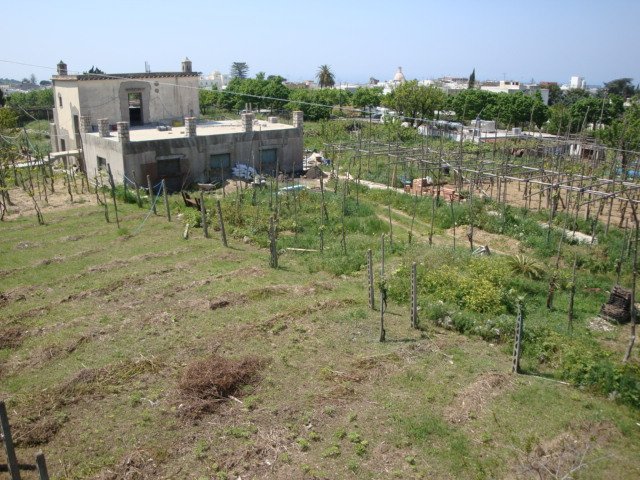 dsc00818.jpg