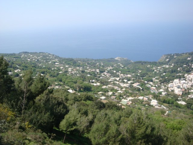 dsc00821.jpg