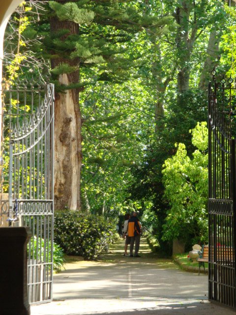 dsc00849.jpg