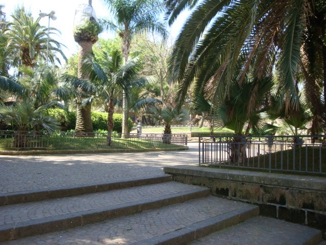 dsc00878.jpg