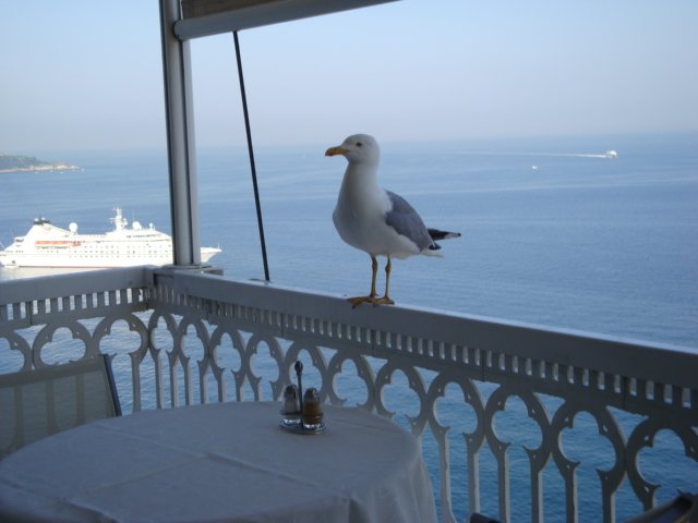dsc00973.jpg
