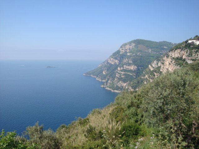 dsc00976.jpg