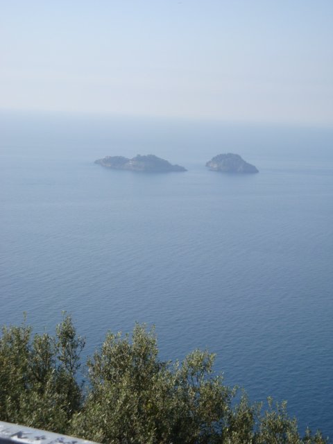 dsc00978.jpg