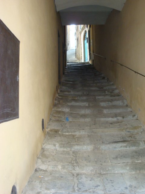 dsc01088.jpg