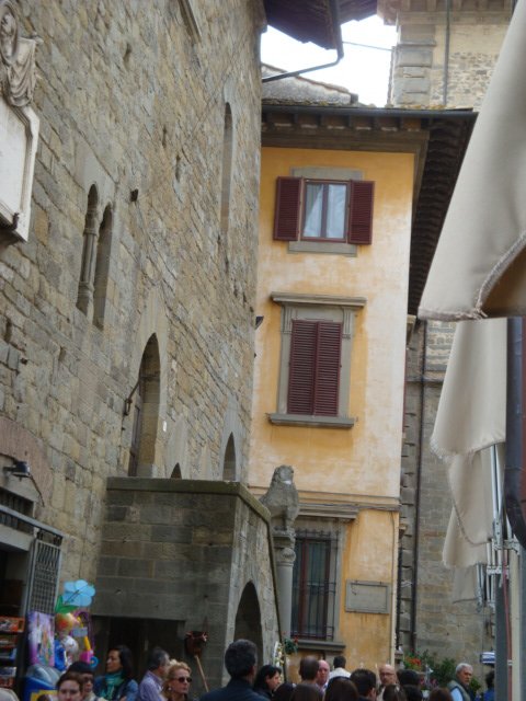 dsc01100.jpg