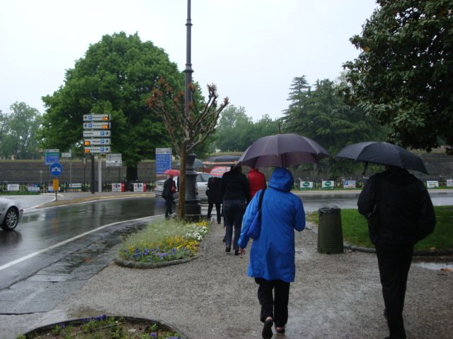 dsc01119.jpg